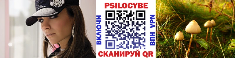 Галлюциногенные грибы MAGIC MUSHROOMS  Купить закладки  Славгород 